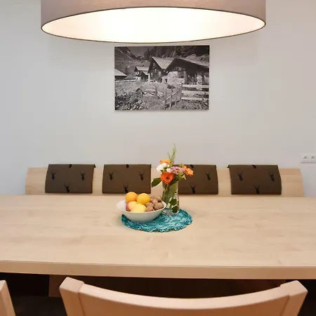 Apartment Salzgeber *